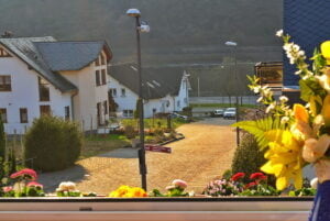 Ausblick auf die Mosel